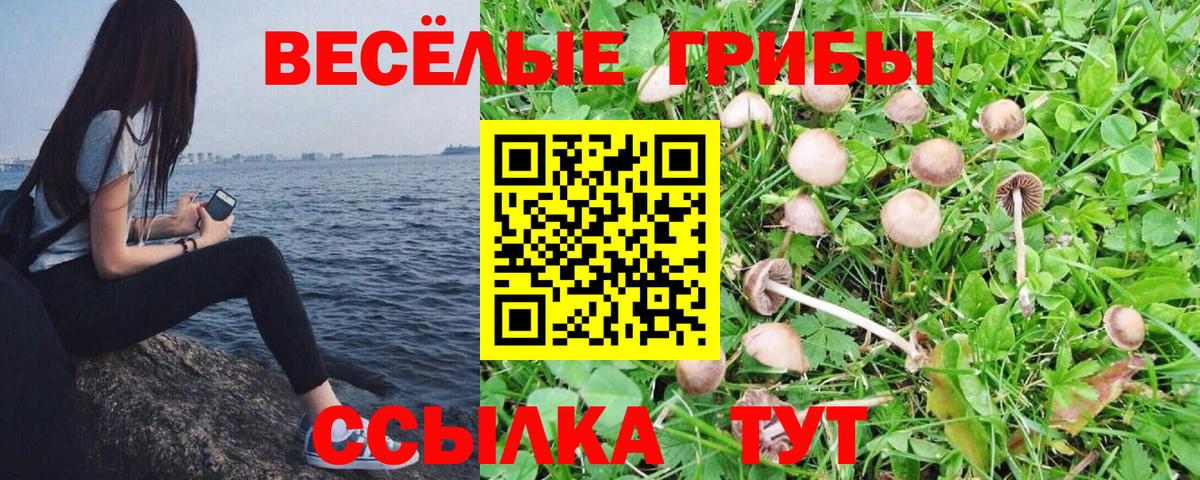 Холмск  Галлюциногенные грибы ЛСД  Вход с VPN 